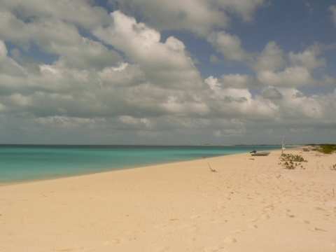 La plage de Low bay