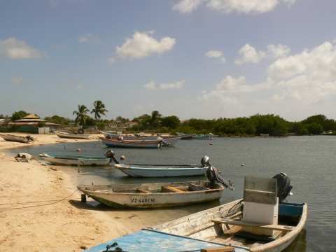 Le port de pêche.