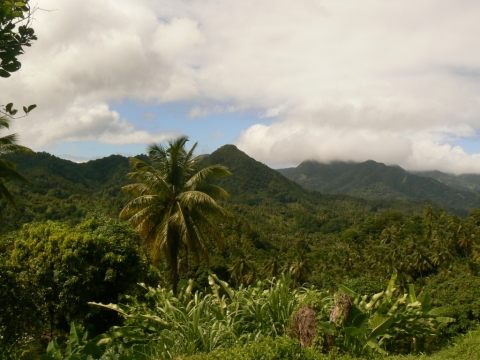 Une vue sur l'intérieur de l'île.
