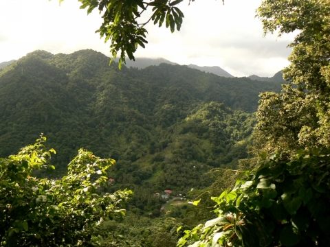 Sur la route du territoire Caraïbe.