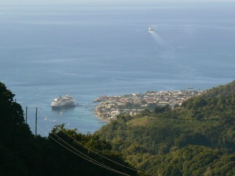Roseau.