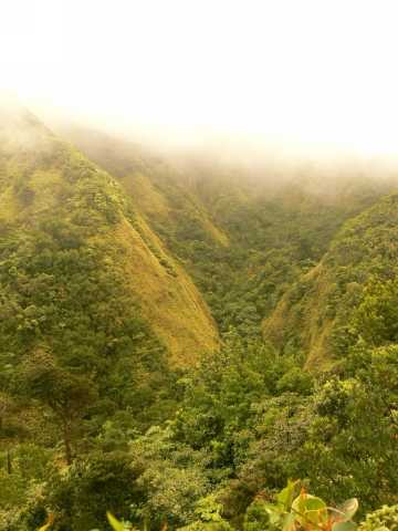 le brouillard  cache les montagnes.