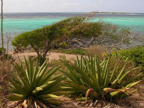 Promenade sur Baradal