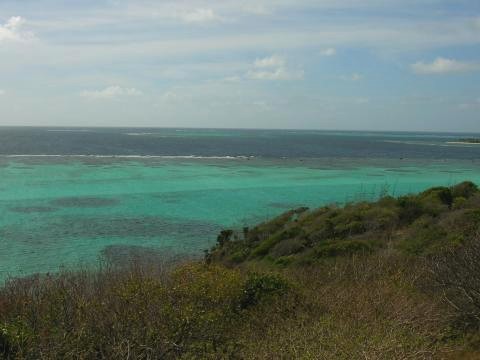 Il y a une belle plongée derrière la barrière de corail