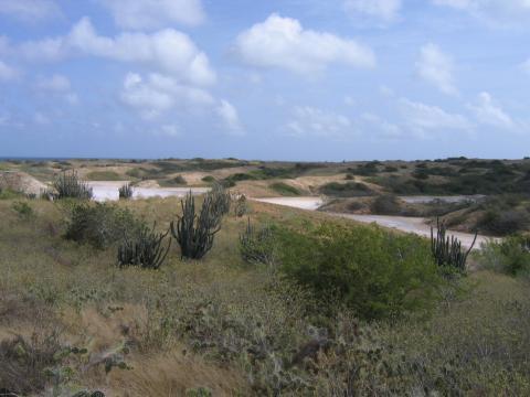Blanquilla