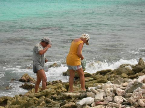 La pêche aux aux "Troques"