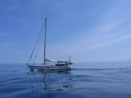 Remonte de Trnidad  la Martinique avec Florence.