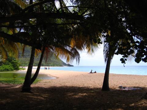 La plage de Grande Anse