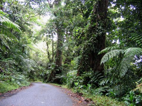 En montant vers le volcan.