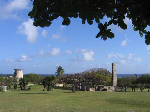 On apercoit le fut du moulin  ent qui tait utilis pour broyer la canne