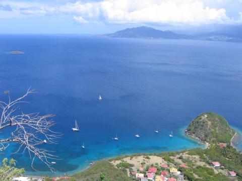 Le muoillage du pain de sucre