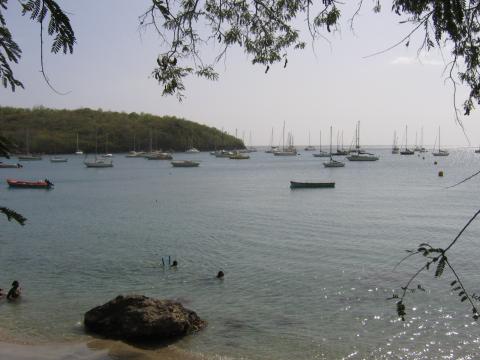 Baignade  l'anse d'Arlet 