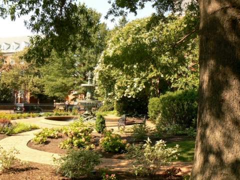 Les jardins devant le Capitole