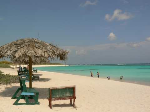 Loblolly bay
