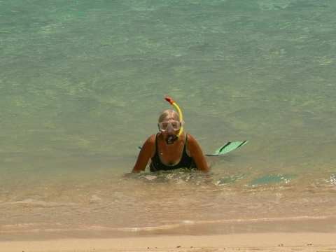 Un drôle de poisson qui vient s'échouer sur le plage.