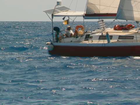 Nono, cool comme d'hab, en  route pour Guana island.